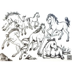 les chevaux
