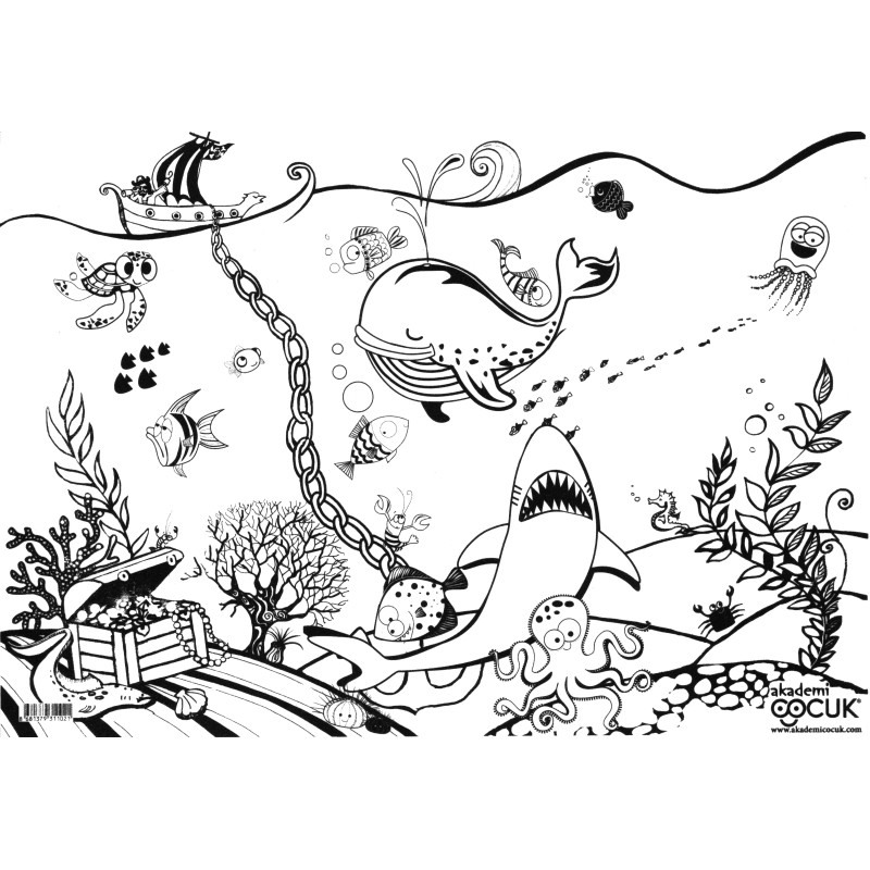 L'océan L'océan