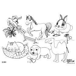Les animaux domestiques